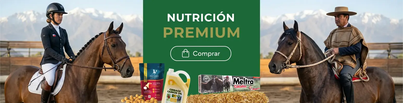 Ofertas de temporada