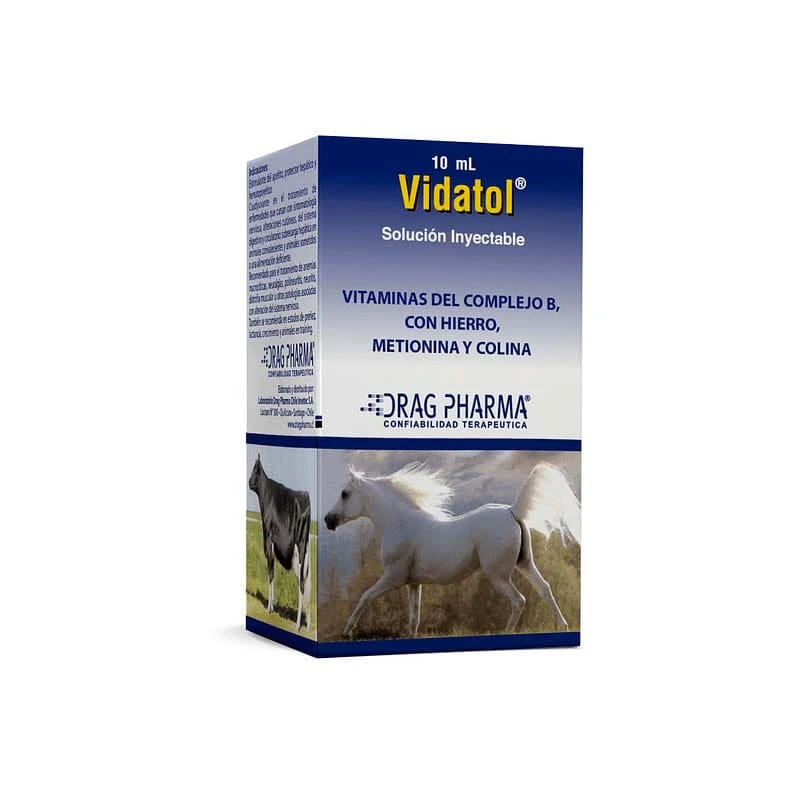 004211312.jpg