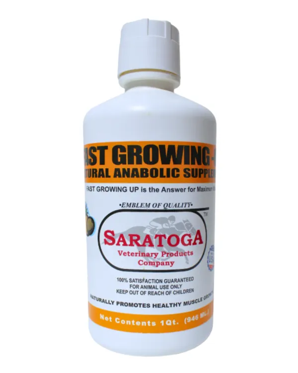 Fast Growing-Up 946 Ml