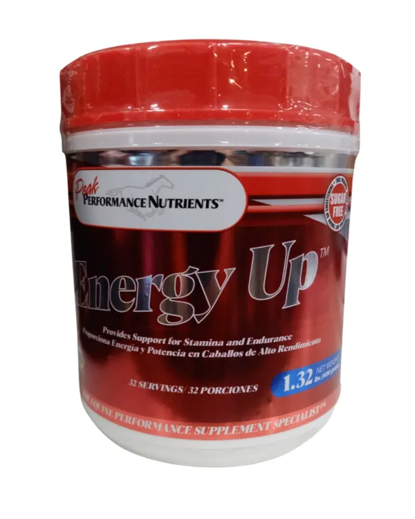 Energy Up 600 Gr