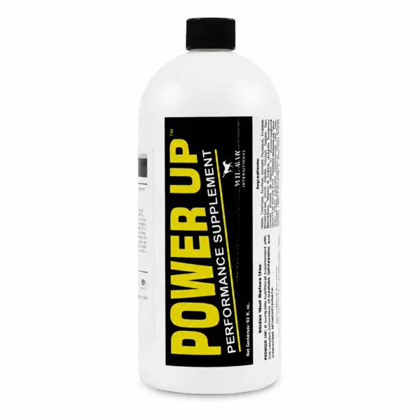 Power Up Gamma Orizanol y Creatina Equino 1 L