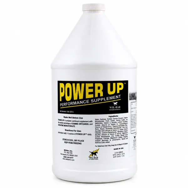 Cox Power Up Gamma Orizanol y Creatina Equino Galón 3,8 L