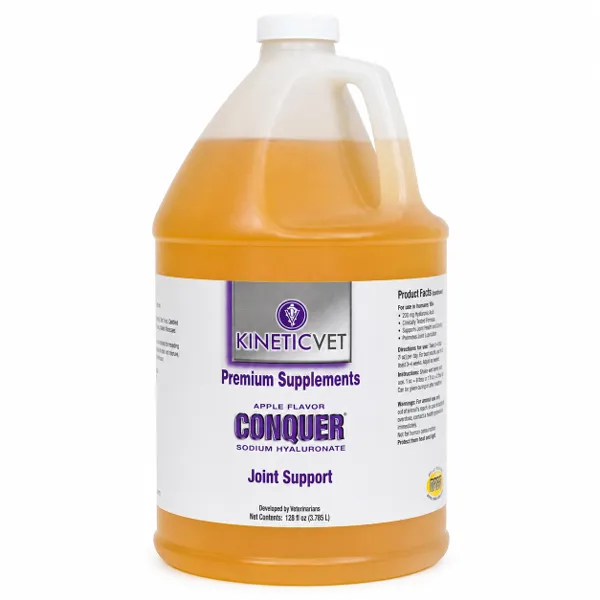 Kinetic Conquer Ácido Hialurónico Oral Equino Galón 3,8 L