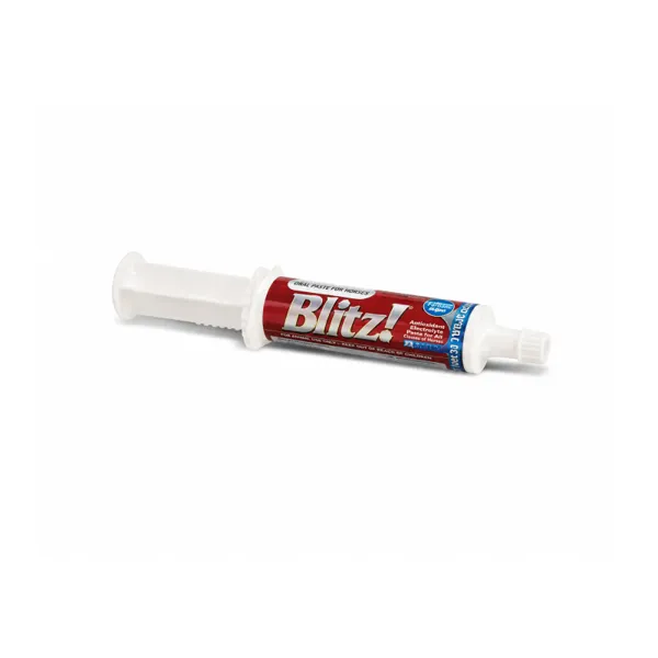 Blitz Pasta Electrolitos y Aminoácidos Equino Tubo 80 g