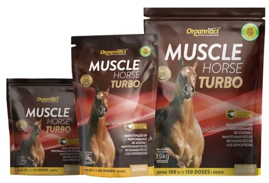 CABALLO_20MUSCLE-1.jpg