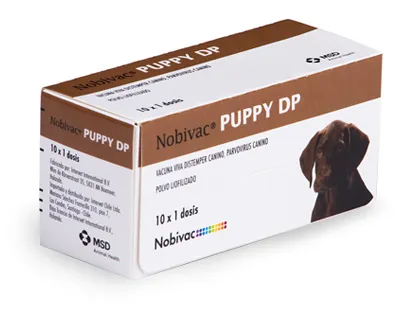 Nobivac Puppy Dp
