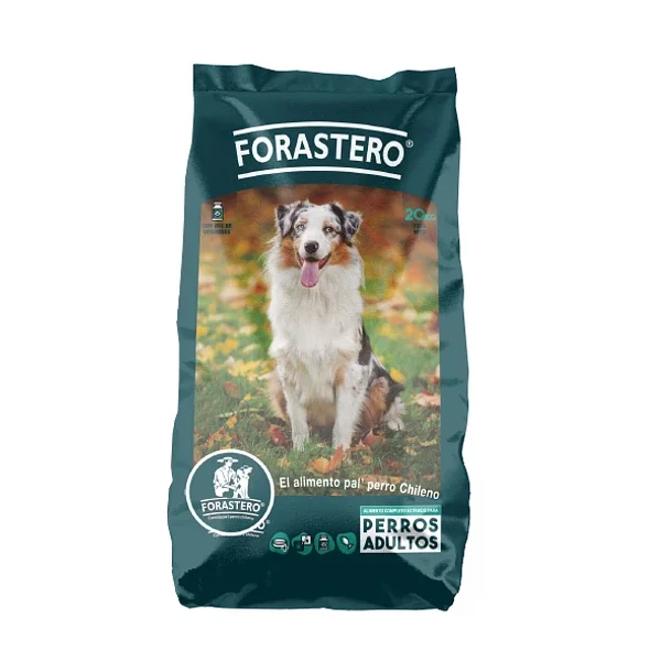 aliemnto_para_perro_forastero.webp