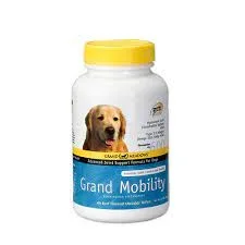 grand_mobility.jpg