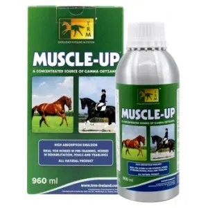 Muscle Up 450 Ml