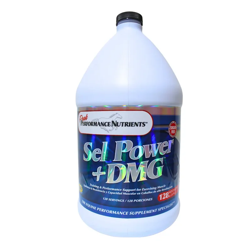 sel_power.webp