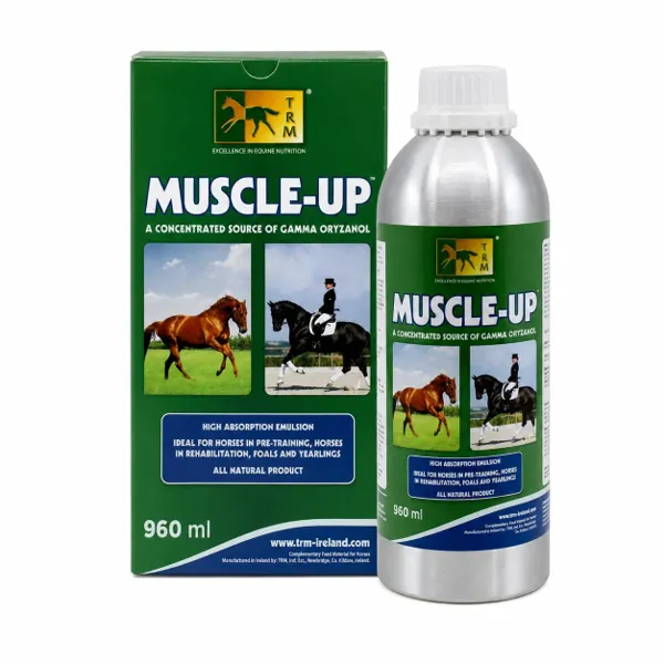 Muscle Up 450 Ml